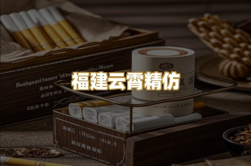 福建云霄精仿