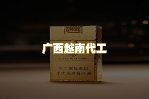 广西越南代工